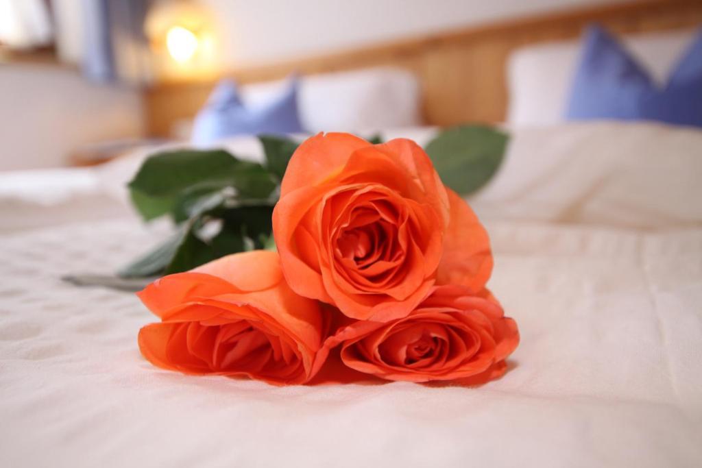 Gerlinde Apartament